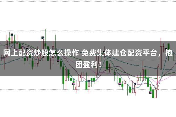 网上配资炒股怎么操作 免费集体建仓配资平台，抱团盈利！