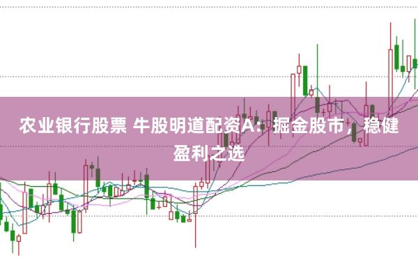 农业银行股票 牛股明道配资A：掘金股市，稳健盈利之选
