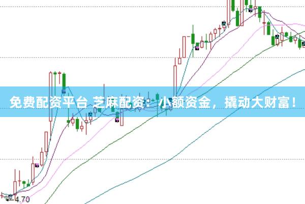 免费配资平台 芝麻配资：小额资金，撬动大财富！