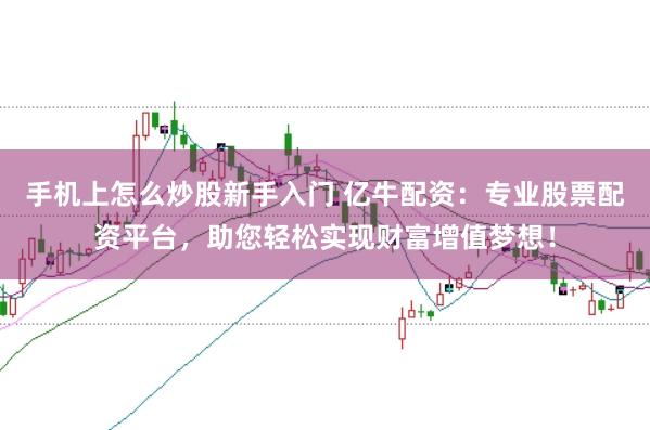 手机上怎么炒股新手入门 亿牛配资：专业股票配资平台，助您轻松实现财富增值梦想！