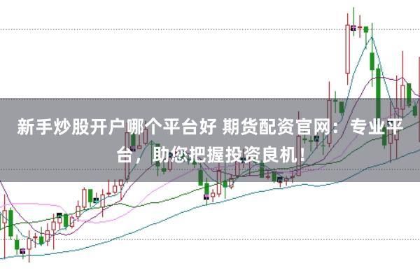 新手炒股开户哪个平台好 期货配资官网：专业平台，助您把握投资良机！