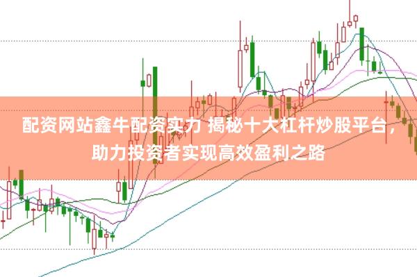 配资网站鑫牛配资实力 揭秘十大杠杆炒股平台，助力投资者实现高效盈利之路