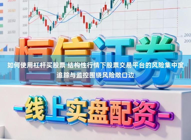 如何使用杠杆买股票 结构性行情下股票交易平台的风险集中度追踪与监控围绕风险敞口边