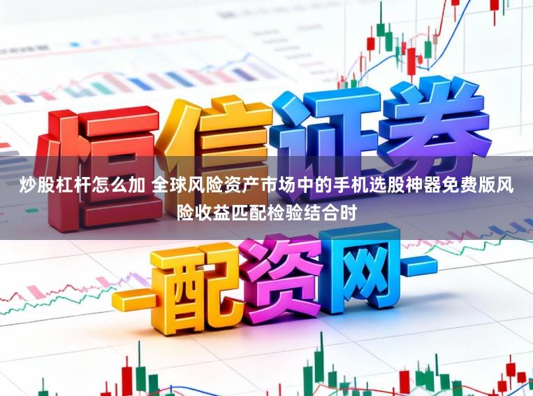 炒股杠杆怎么加 全球风险资产市场中的手机选股神器免费版风险收益匹配检验结合时