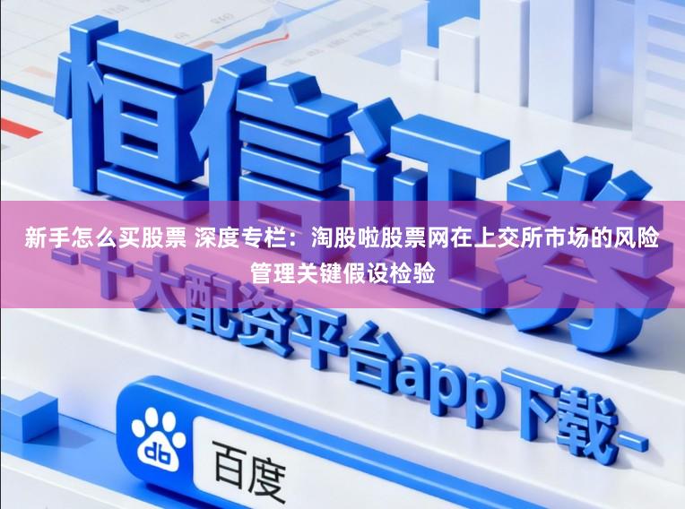 新手怎么买股票 深度专栏：淘股啦股票网在上交所市场的风险管理关键假设检验