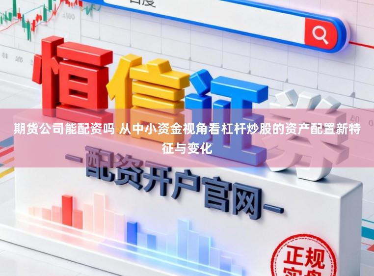 期货公司能配资吗 从中小资金视角看杠杆炒股的资产配置新特征与变化
